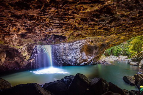Full-day Springbrook National Park Tour From The Gold Coast - Accommodation Noosa 3