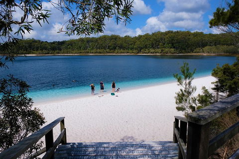 Fraser Island 4WD Tour From Rainbow Beach - Accommodation Noosa 3