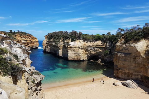 Helicopter Flight + Fine Dining Private Luxury Great Ocean Road Tour - Accommodation Noosa 1