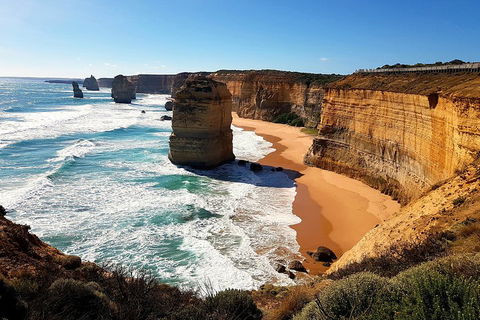 Helicopter Flight + Fine Dining Private Luxury Great Ocean Road Tour - Accommodation Noosa 4