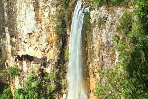 Private Tour - Rainforest & Waterfalls Extravaganza - Accommodation Noosa 0
