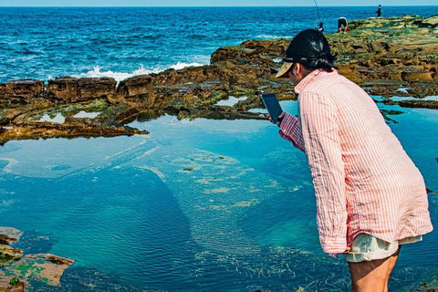 Sydney Private Tour Featuring Wilderness, Wildlife, Waves, Waterfalls And Wine - Accommodation Noosa 1