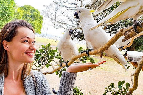 Sydney Private Tour Featuring Wilderness, Wildlife, Waves, Waterfalls And Wine - Accommodation Noosa 4