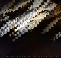 The Pinnacle Adventure Tour - Accommodation Noosa