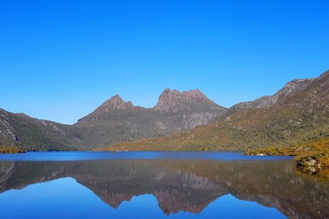 Tasmania 6 Day 'Tour In Circle' - Accommodation Noosa 3