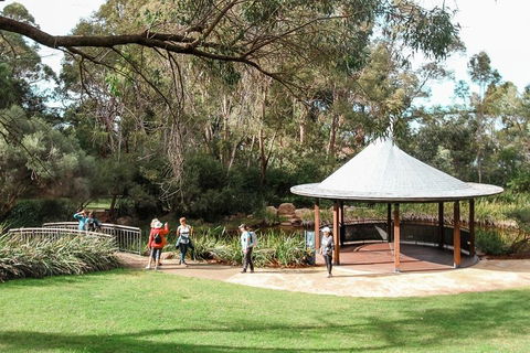 Highlights Of Kings Park - Accommodation Noosa 1