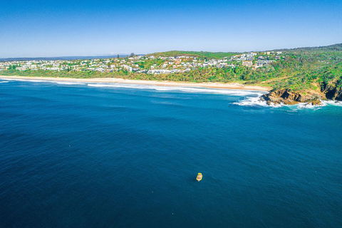Noosa Oceanrider Scenic Dolphin Safari - Accommodation Noosa 4