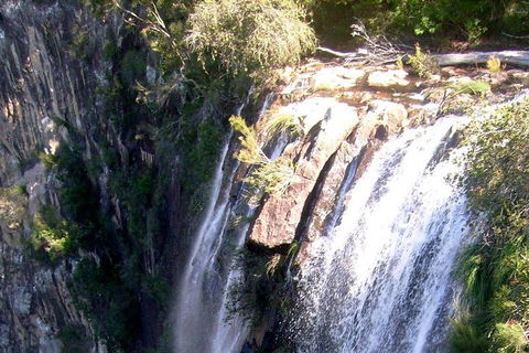 Byron Bay Combo: Hinterland Tour Including Minyon Falls And Kayaking With Dolphins - Accommodation Noosa 3
