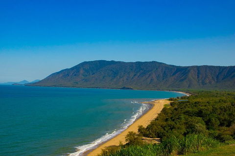 Cape Tribulation Day Tour - Accommodation Noosa 1
