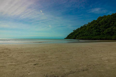 Cape Tribulation Day Tour - Accommodation Noosa 2