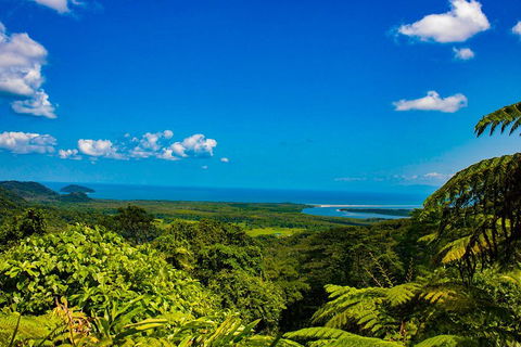 Cape Tribulation Day Tour - Accommodation Noosa 3