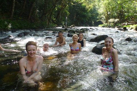 Daintree Rainforest, Cape Tribulation, Mossman Gorge Small-Group Day Tour - Accommodation Noosa 0
