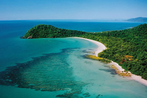 Daintree Rainforest, Cape Tribulation, Mossman Gorge Small-Group Day Tour - Accommodation Noosa 4