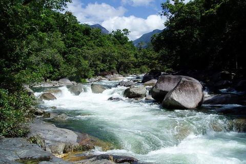 Daintree Rainforest, Cape Tribulation, Mossman Gorge Small-Group Day Tour - Accommodation Noosa 5