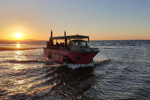 Town Of 1770 Afternoon Cruise - Accommodation Noosa 3