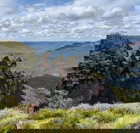 Blue Mountains Private Tour - wild kangaroos waterfalls and The Three Sisters - Accommodation Noosa