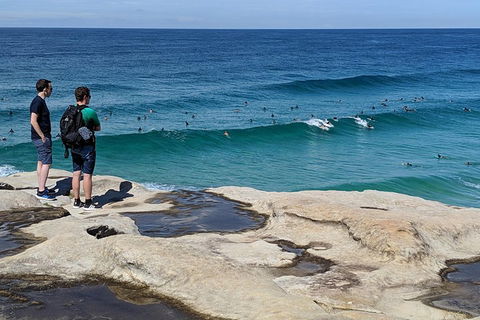 Sydney Secrets & Bondi Beach Private 4 Hr Morning With Personalised Sydney Tours - Accommodation Noosa 2