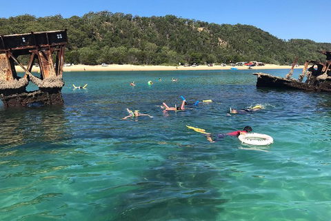All Inclusive Dolphin And Tangalooma Wrecks Cruise - Accommodation Noosa 0