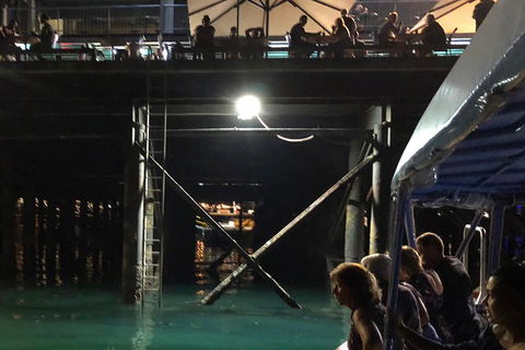 Darwin Sunset Cruise Including Fish 'n' Chips - Accommodation Noosa 0