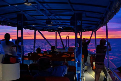 Darwin Sunset Cruise Including Fish 'n' Chips - Accommodation Noosa 1