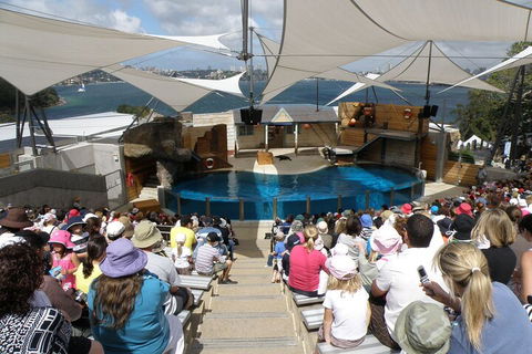 Sydney Taronga Zoo General Entry Ticket - Accommodation Noosa 5