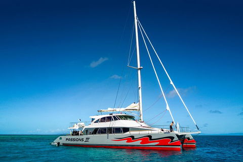 Passions Of Paradise Great Barrier Reef Snorkel And Dive Cruise From Cairns By Luxury Catamaran - Accommodation Noosa 0