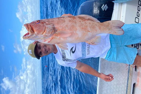 3/4 Day 7 Hour Offshore Fishing Charter - Accommodation Noosa 5