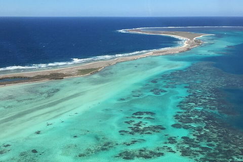 Pink Lake + Abrolhos Islands Nature Tour - Accommodation Noosa 2