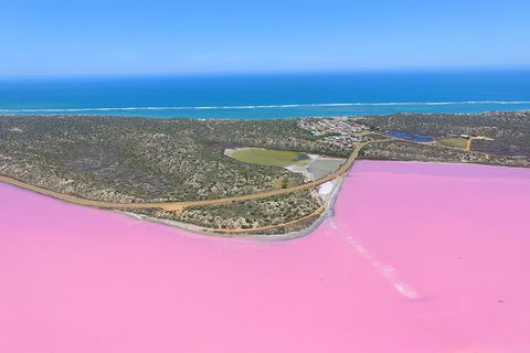 Pink Lake + Abrolhos Islands Nature Tour - Accommodation Noosa 4