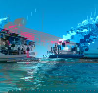 Best of Moreton Bay Cruise - Accommodation Noosa