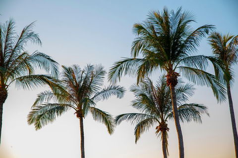 Darwin City Sightseeing Tour - Accommodation Noosa 0