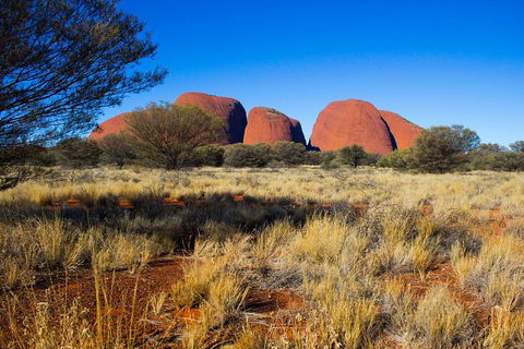 Kata Tjuta Sunrise And Valley Of The Winds Half-Day Trip - Accommodation Noosa 1