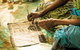 Tiwi Islands Cultural Experience From Darwin Including Ferry - thumb 1