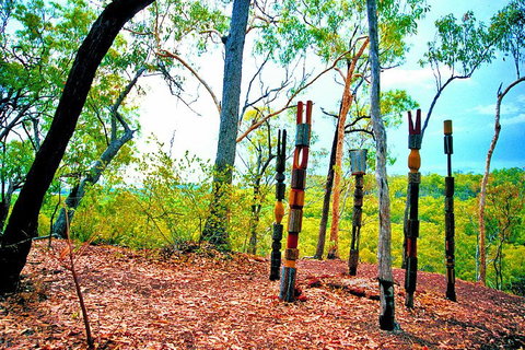 Tiwi Islands Cultural Experience From Darwin Including Ferry - Accommodation Noosa 3