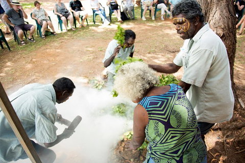Tiwi Islands Cultural Experience From Darwin Including Ferry - Accommodation Noosa 4