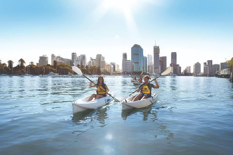Brisbane Kayak Tour - Accommodation Noosa 0