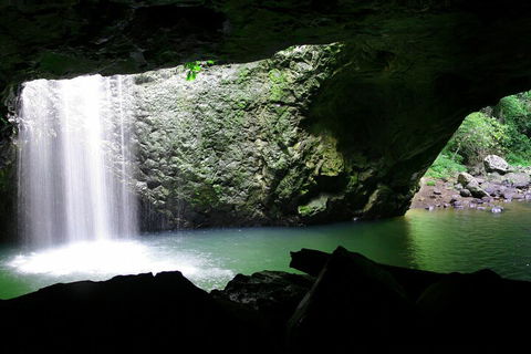 Natural Bridge & Springbrook Waterfalls Tour + Hot Air Balloon With Breakfast - Accommodation Noosa 2