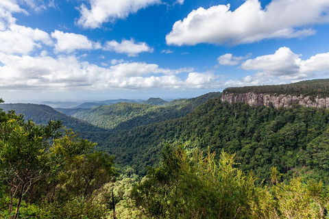 Natural Bridge & Springbrook Waterfalls Tour - Accommodation Noosa 1