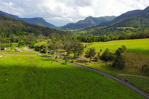 Natural Bridge & Springbrook Waterfalls Tour - Accommodation Noosa 2