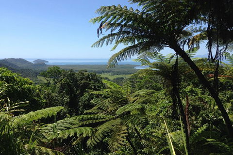 Daintree And Cape Tribulation Full Day Guided Tour - Accommodation Noosa 2