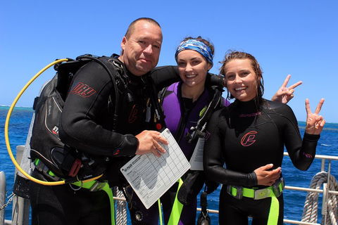 Quicksilver Dive 4 Day PADI Learn To Dive Course - Accommodation Noosa 0
