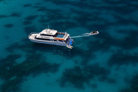 Quicksilver Dive 4 Day PADI Learn To Dive Course - Accommodation Noosa 1