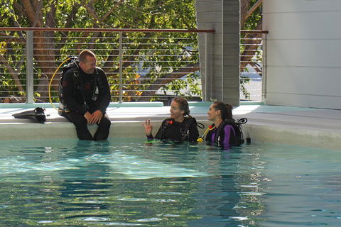Quicksilver Dive 4 Day PADI Learn To Dive Course - Accommodation Noosa 3