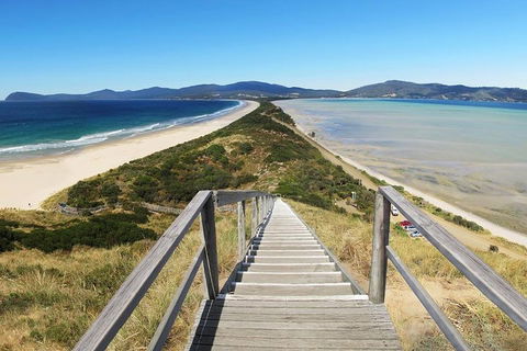 Bruny Island Private Charter Service - Accommodation Noosa 4