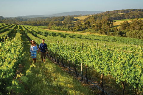 6 Days Perth All-Inclusive Touring Package With Wildflowers ( Seasonal) - Accommodation Noosa 4