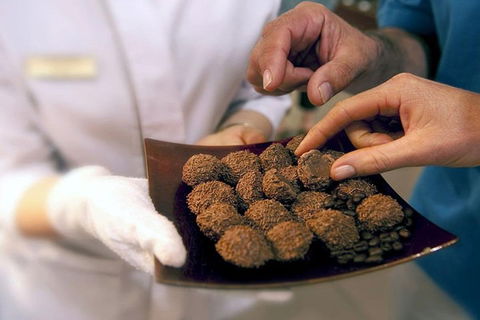 Explore Adelaide City Tour: Haigh's Tasting Chocolate & Adelaide Oval Tour - Accommodation Noosa 2
