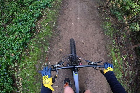 Explore Downhill Mountain In 3-Hour Bike Tour From Hobart - Accommodation Noosa 2