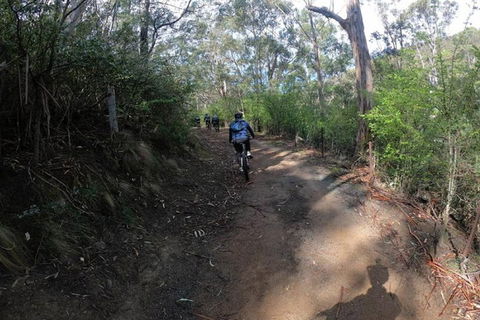 Explore Downhill Mountain In 3-Hour Bike Tour From Hobart - Accommodation Noosa 3