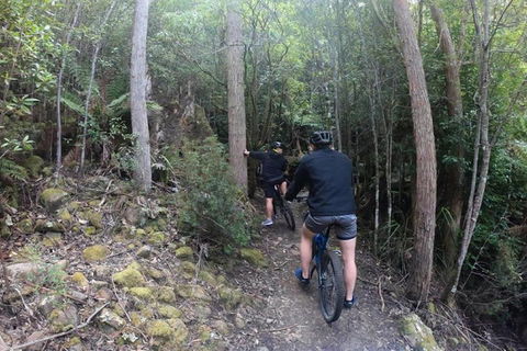 Explore Downhill Mountain In 3-Hour Bike Tour From Hobart - Accommodation Noosa 4
