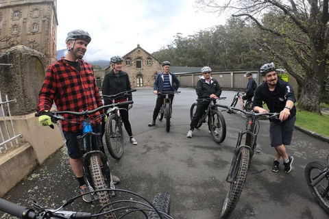 Explore Downhill Mountain In 3-Hour Bike Tour From Hobart - Accommodation Noosa 5